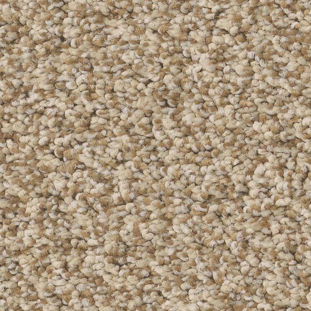 Anderson Tuftex Avalon Bay Carpet in Golden, , large