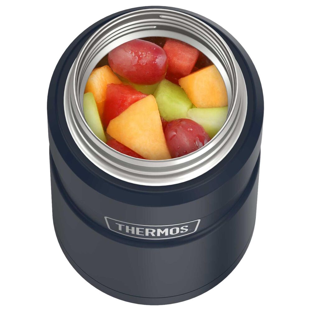Thermos Stainless King 24 Oz. Food Jar in Stainless Steel and Midnight