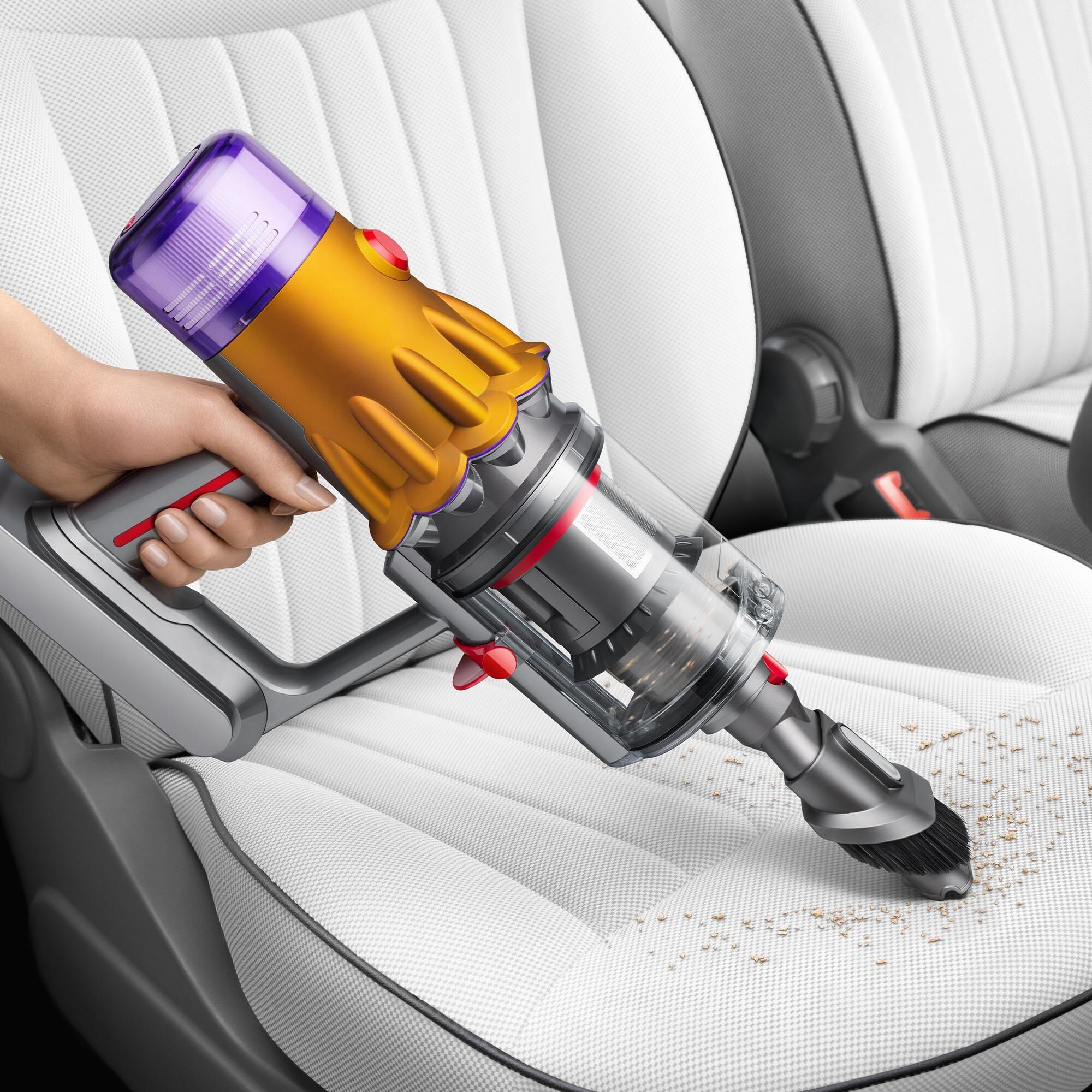 Dyson animal shop cordless