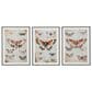 Ashley Jossletts 20" x 28" Wall Art in Orange, Black and Ivory (Set of 3), , large