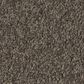 Philadelphia Champagne Taste I Carpet in Ashes, , large