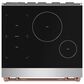 Thor Kitchen Gordon Ramsay 4.8 Cu. Ft. Professional Induction Range with Rose Gold Handle Kit in Stainless Steel, , large