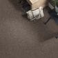 Shaw Break Away Solid Carpet in Weathered Wood, , large