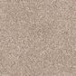 Dixie Home Bella Carpet in Canine, , large