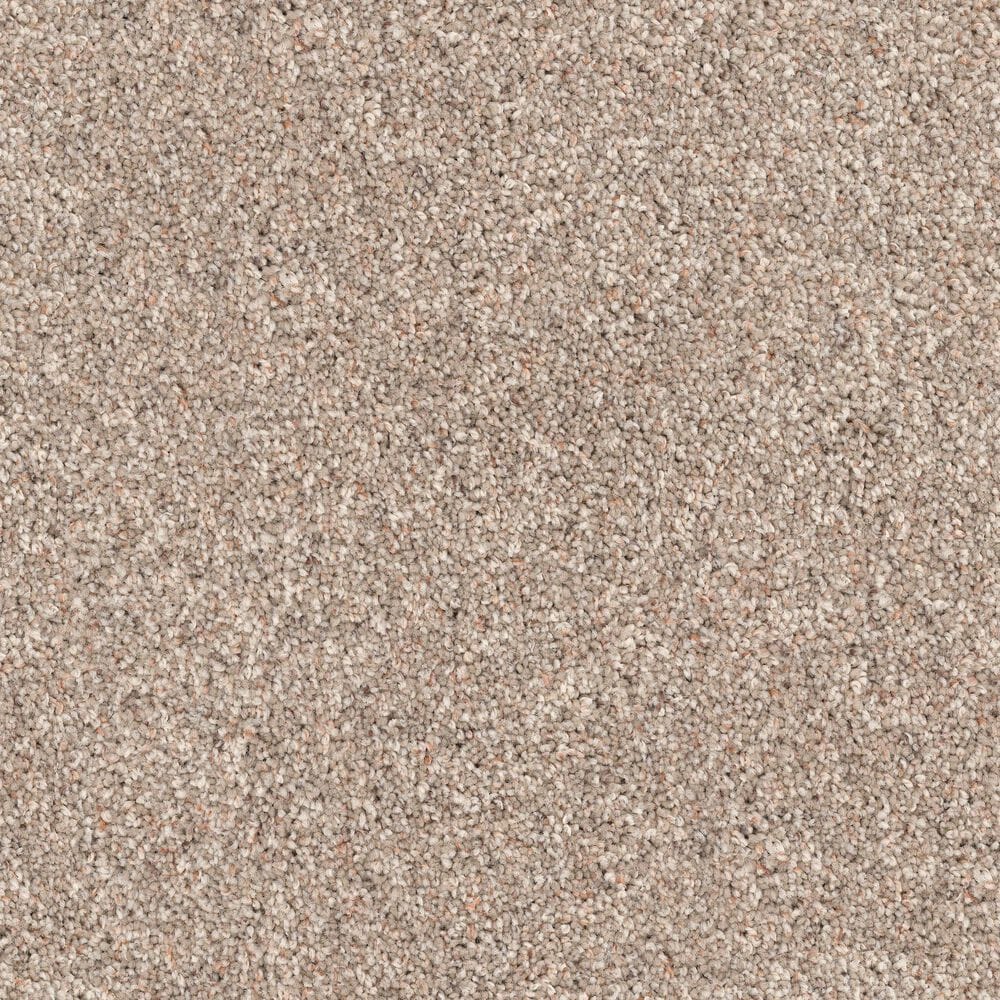 Dixie Home Bella Carpet in Canine, , large
