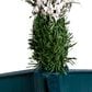 The Gerson Company 3" Flocked Colorado Spruce with Clear Lights in Green, , large