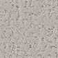 Shaw Canvas Comfort Carpet in Quiet Time, , large