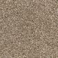 Dixie Home Natural Beauty Carpet in Bitter Sweet, , large