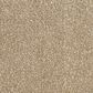 Revolution Mills Magic Moment II Carpet in Mocha, , large