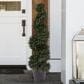 Timberlake 4" Artificial Spiral Cypress Topiary Tree with Pot in Green, , large