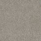 Dream Weaver Gamechanger Carpet in Sterling, , large