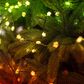 Twinkly Candies 100 LED 8MM Star Shape in Multicolor, , large