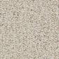 Masland Santo Domingo Carpet in True, , large