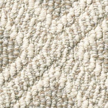 Anderson Tuftex Scout Carpet in Briarwood, , large