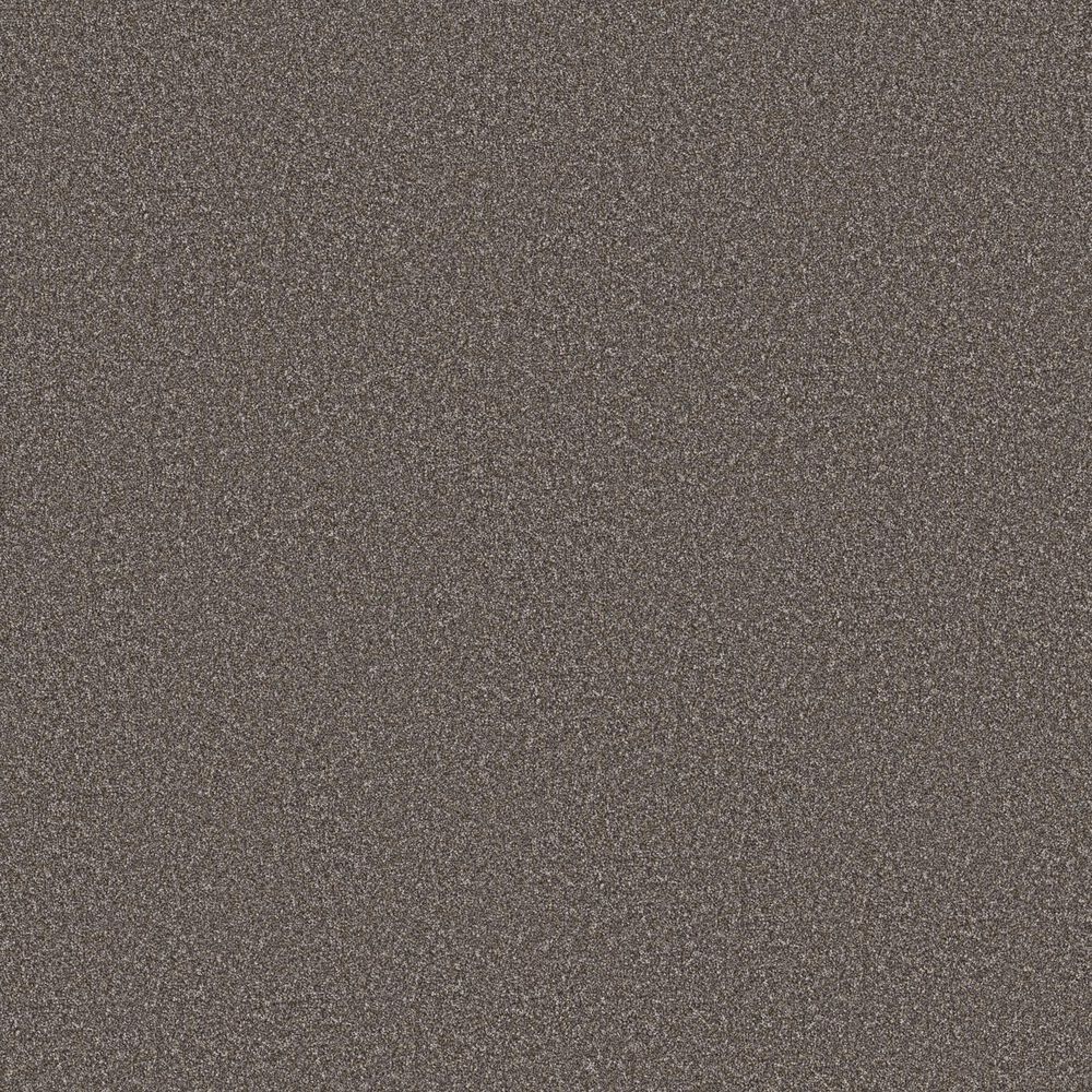 Shaw Imaginable II Carpet in Sparrow, , large