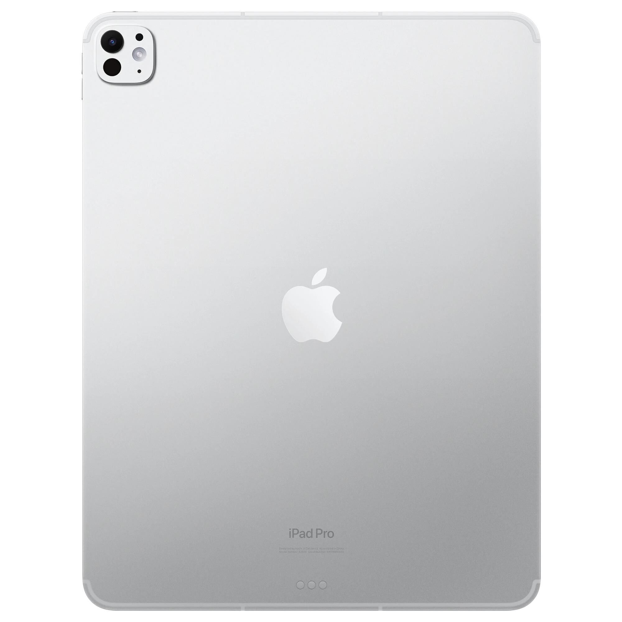 Apple 13