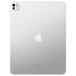 Apple 13" iPad Pro | Apple M5 Chip - Wi-Fi + Cellular 512GB with Standard Glass in Silver (latest Model) and 2-Year AppleCare+, , large