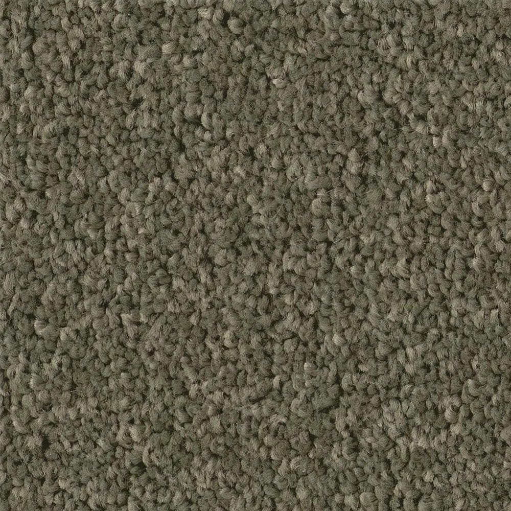 Philadelphia Champagne Taste I Carpet in Rerooted Nature, , large