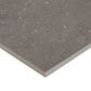 Dal-Tile Exposition Cameo 24" x 24" Porcelain Tile, , large