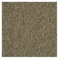 Shaw Multiplicity Carpet in Abundance, , large