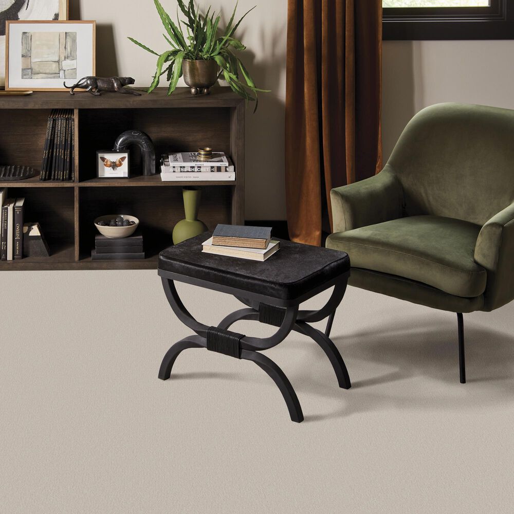 Anderson Tuftex Finery Carpet in Oyster Bar, , large
