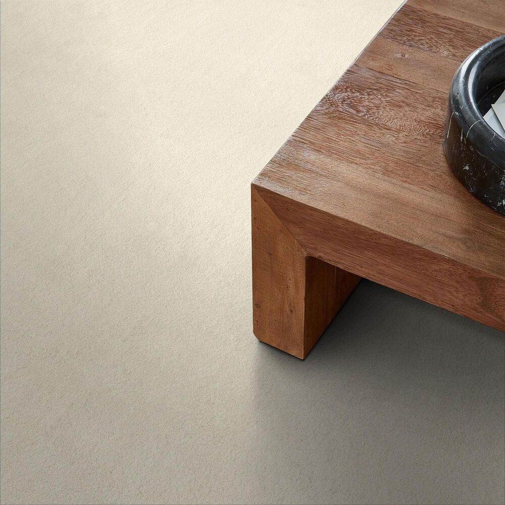 Anderson Tuftex Luxe Feel II Carpet in Icelandic, , large