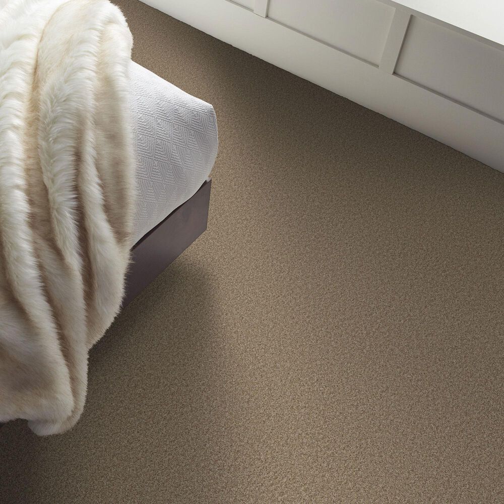 Shaw Comforting II Carpet in Studio, , large
