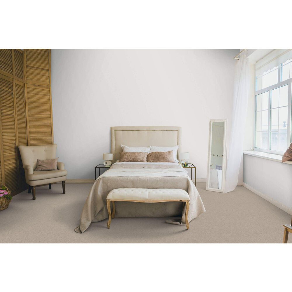Dixie Home Simplicity Carpet in Casual, , large