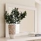 Ashley Charbitt Rectangular Mirror in Matte White, , large