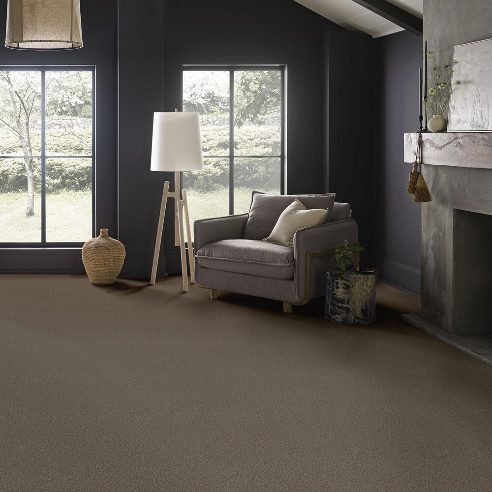 Anderson Tuftex Wyndham Estate Carpet in Sable, , large