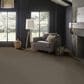 Anderson Tuftex Wyndham Estate Carpet in Sable, , large