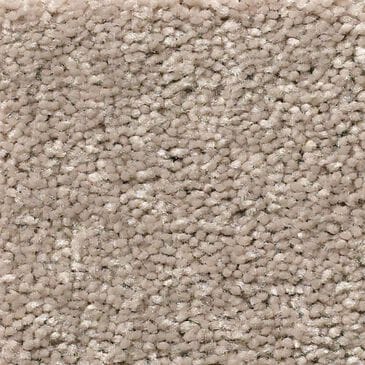 Shaw Simply the Best Attainable Carpet in Pebble Path, , large