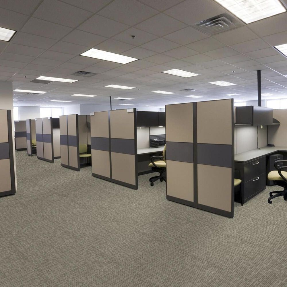 Shaw Genesis 24&quot; x 24&quot; Carpet Tile in Brilliant, , large