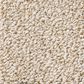Anderson Tuftex Bali Carpet in Birch, , large