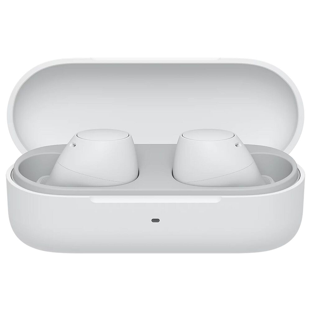 Sony Truly Wireless Earbuds in White, , large
