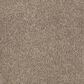 Mohawk Windsor Gardens I Carpet in Mushroom Cap, , large