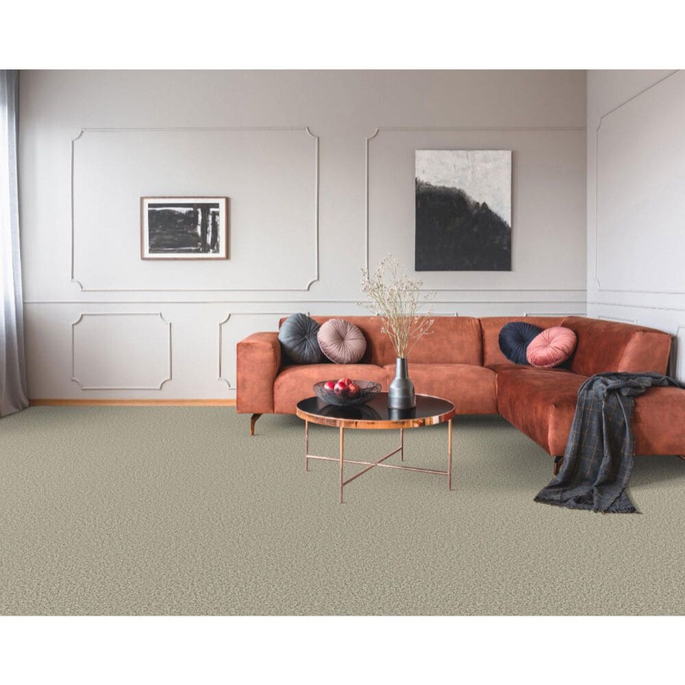 Dixie Home Riverbend Carpet in Sandstone, , large