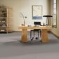 Anderson Tuftex Finery Carpet in Stone, , large