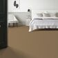 Anderson Tuftex Expressive Carpet in Summerwood, , large