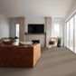 Shaw Imaginable II Carpet in Clay, , large