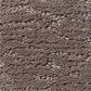 Anderson Tuftex Artistry Carpet in Chantrelle, , large