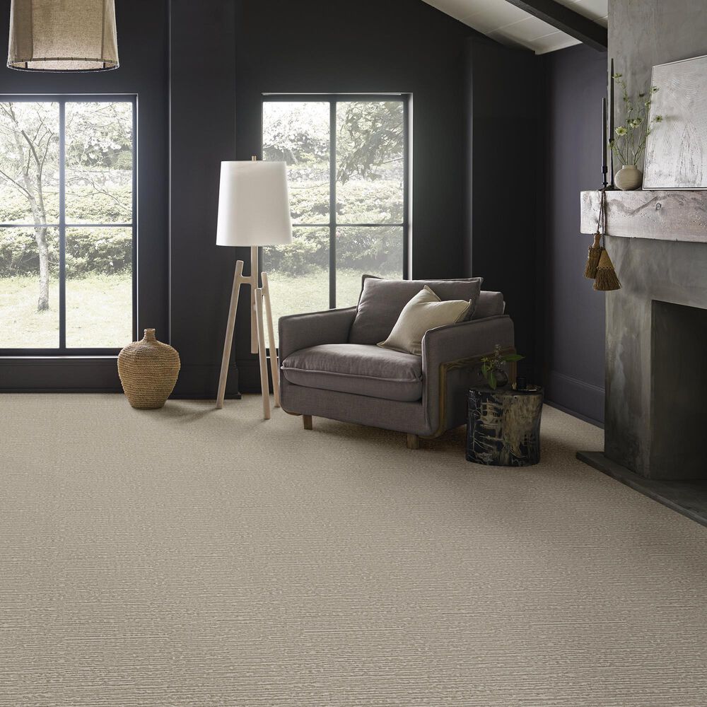 Anderson Tuftex Zion Carpet in Oyster, , large