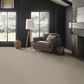 Anderson Tuftex Zion Carpet in Oyster, , large