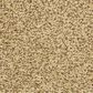 Dixie Home Carefree Carpet in Stone Works, , large