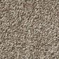 Shaw Simply the Best Montage II Carpet in Midtown Brown, , large
