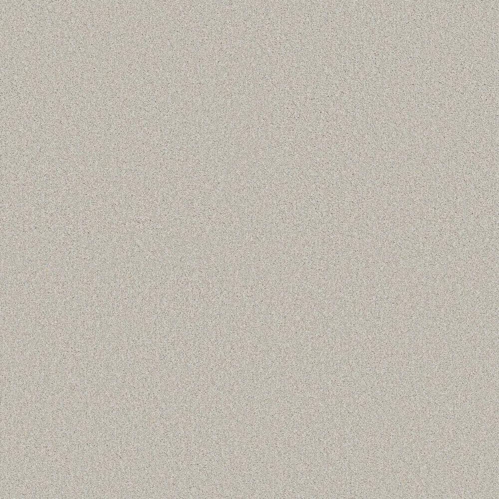 Shaw Tonal Comfort II Carpet in Whitewashed Frame, , large