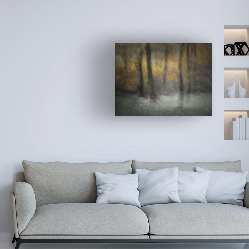 Timberlake Nel Talen 'Dancing Trees' 35" x 47" Canvas Art in Brown/Grey/Black, , large