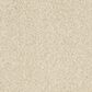 Karastan Stunning Balance Carpet in Bashful, , large