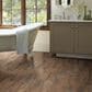 Shaw Olympia Plank Brown 7" x 22" Ceramic Tile, , large