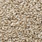 Shaw Poised Carpet in Artisan, , large